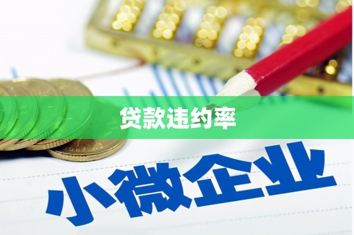 南京贷款违约率