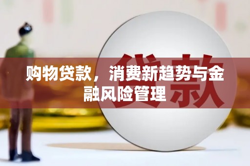 南京购物贷款，消费新趋势与金融风险管理