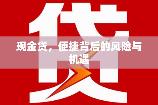 南京现金贷，便捷背后的风险与机遇