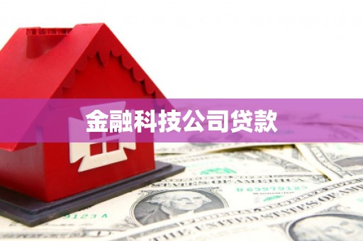 南京金融科技公司贷款