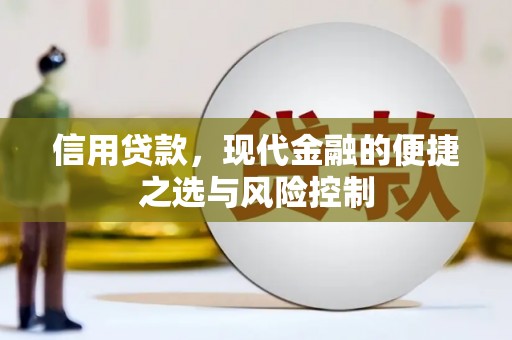 南京信用贷款，现代金融的便捷之选与风险控制