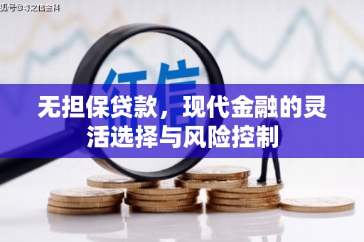 南京无担保贷款，现代金融的灵活选择与风险控制
