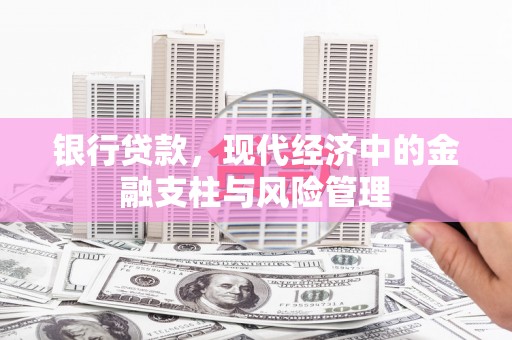 南京银行贷款，现代经济中的金融支柱与风险管理