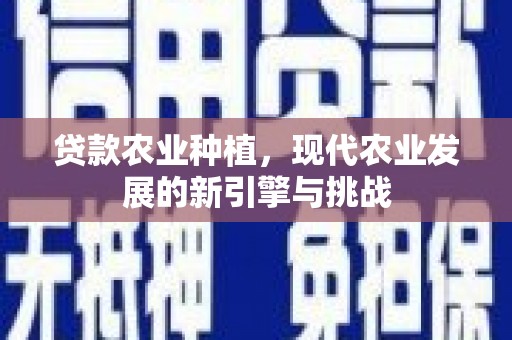 南京贷款农业种植，现代农业发展的新引擎与挑战