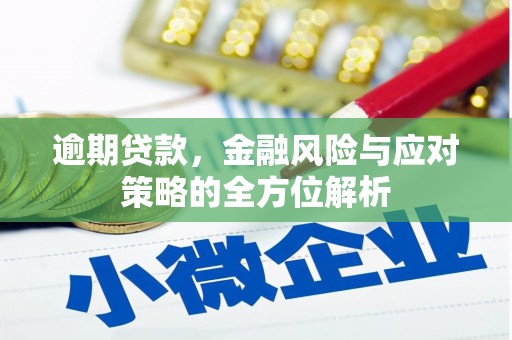 南京逾期贷款，金融风险与应对策略的全方位解析