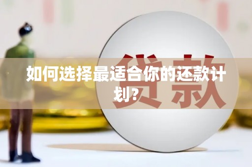 南京如何选择最适合你的还款计划？