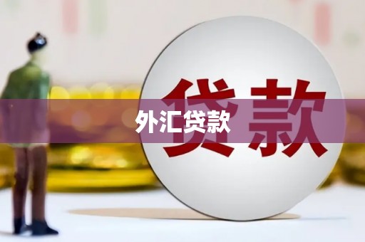 南京外汇贷款