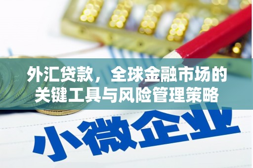 南京外汇贷款，全球金融市场的关键工具与风险管理策略