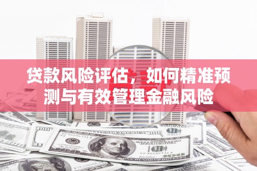 南京贷款风险评估，如何精准预测与有效管理金融风险