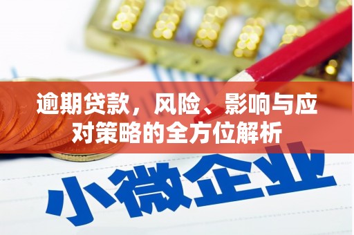 南京逾期贷款，风险、影响与应对策略的全方位解析