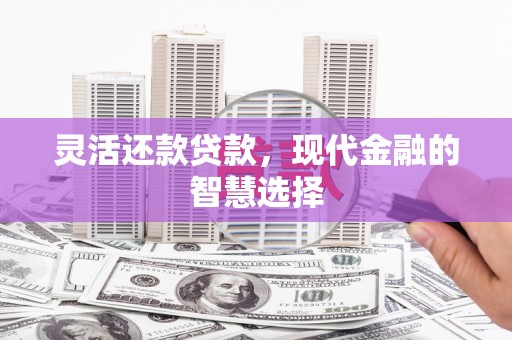 南京灵活还款贷款，现代金融的智慧选择