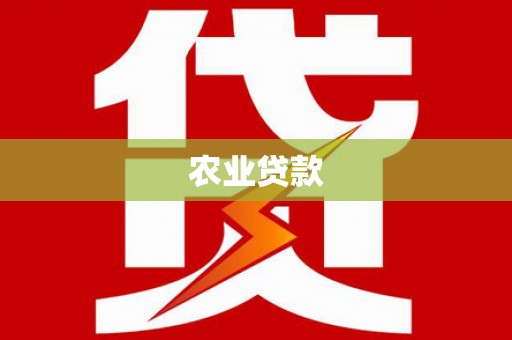 南京农业贷款