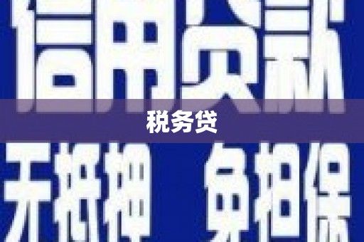 南京税务贷