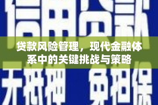 南京贷款风险管理，现代金融体系中的关键挑战与策略