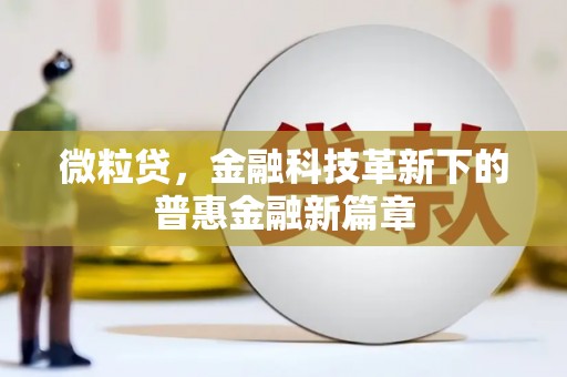 南京微粒贷，金融科技革新下的普惠金融新篇章