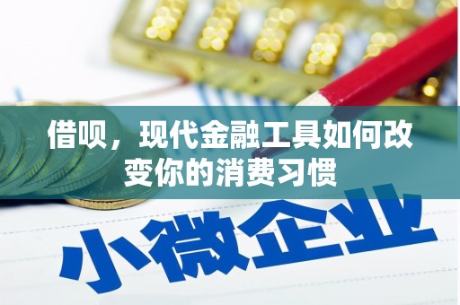 南京借呗，现代金融工具如何改变你的消费习惯