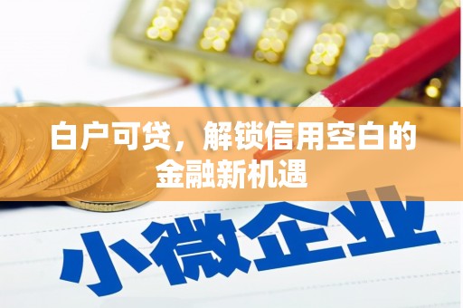 南京白户可贷，解锁信用空白的金融新机遇