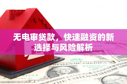 南京无电审贷款，快速融资的新选择与风险解析