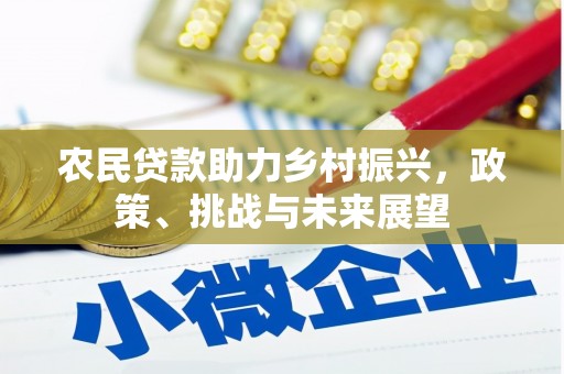 南京农民贷款助力乡村振兴，政策、挑战与未来展望