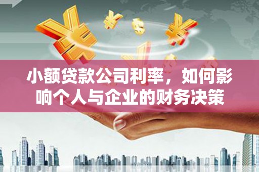 南京小额贷款公司利率，如何影响个人与企业的财务决策