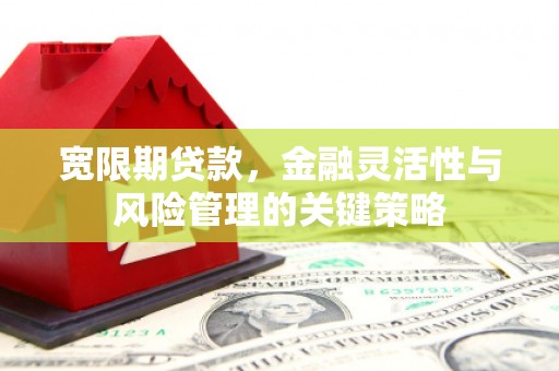 南京宽限期贷款，金融灵活性与风险管理的关键策略
