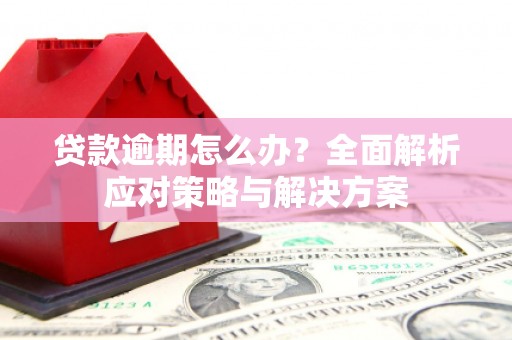 南京贷款逾期怎么办？全面解析应对策略与解决方案