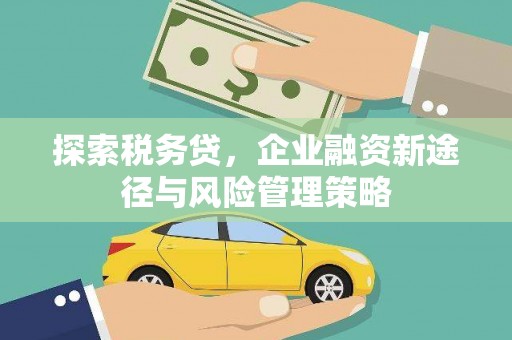 南京探索税务贷，企业融资新途径与风险管理策略