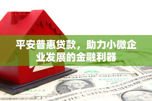 南京平安普惠贷款，助力小微企业发展的金融利器