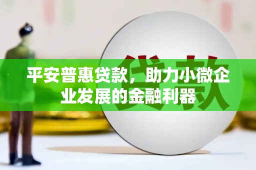 南京平安普惠贷款，助力小微企业发展的金融利器