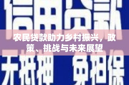 南京农民贷款助力乡村振兴，政策、挑战与未来展望