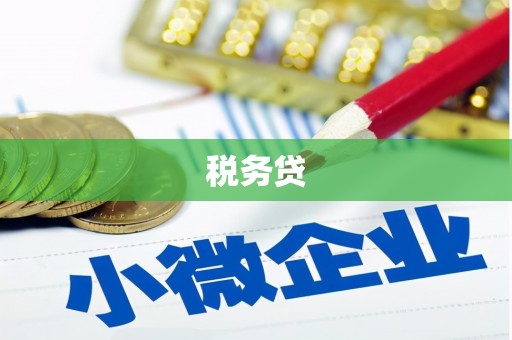 南京税务贷