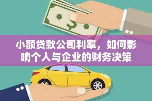 南京小额贷款公司利率，如何影响个人与企业的财务决策