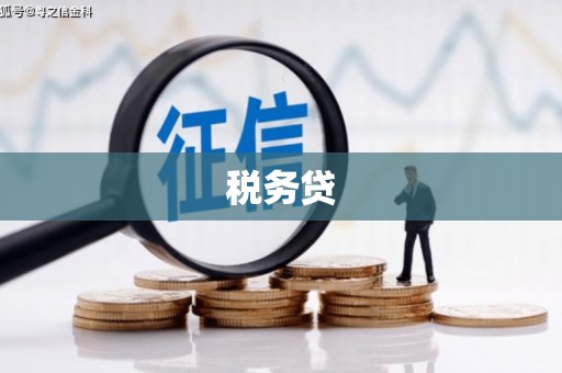 南京税务贷