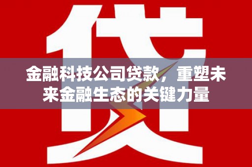 南京金融科技公司贷款，重塑未来金融生态的关键力量