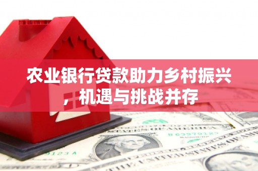 南京农业银行贷款助力乡村振兴，机遇与挑战并存