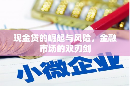 南京现金贷的崛起与风险，金融市场的双刃剑