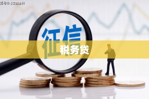 南京税务贷