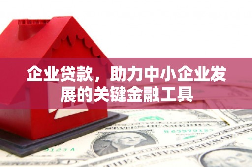 南京企业贷款，助力中小企业发展的关键金融工具