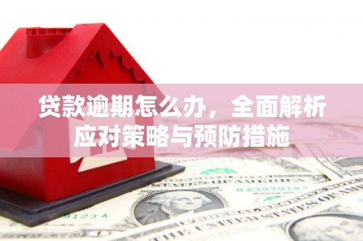 南京贷款逾期怎么办，全面解析应对策略与预防措施