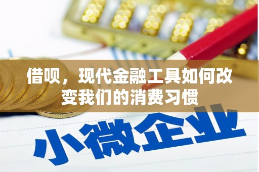 南京借呗，现代金融工具如何改变我们的消费习惯