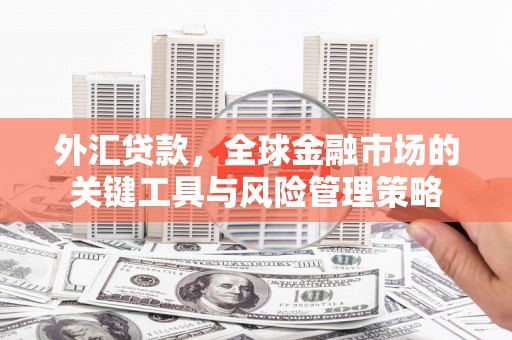 南京外汇贷款，全球金融市场的关键工具与风险管理策略