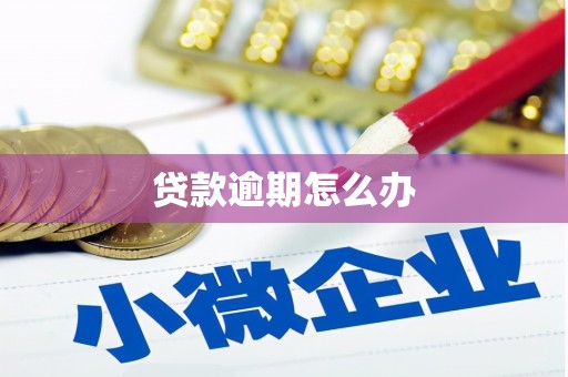 南京贷款逾期怎么办