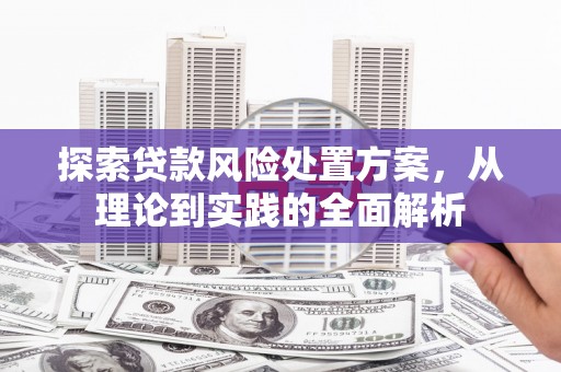 南京探索贷款风险处置方案，从理论到实践的全面解析