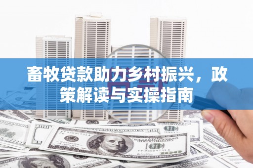 南京畜牧贷款助力乡村振兴，政策解读与实操指南