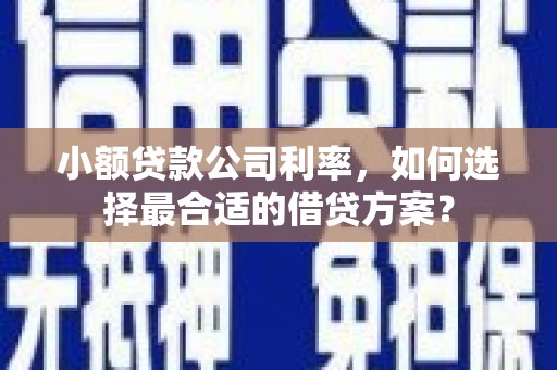 南京小额贷款公司利率，如何选择最合适的借贷方案？