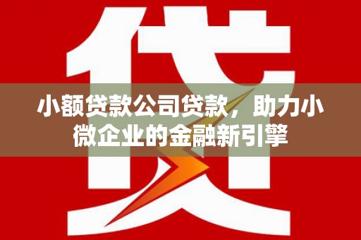 南京小额贷款公司贷款，助力小微企业的金融新引擎