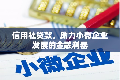 南京信用社贷款，助力小微企业发展的金融利器