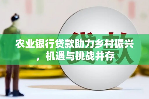 南京农业银行贷款助力乡村振兴，机遇与挑战并存