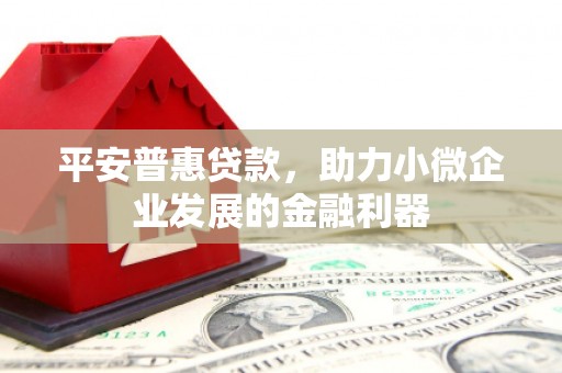 南京平安普惠贷款，助力小微企业发展的金融利器
