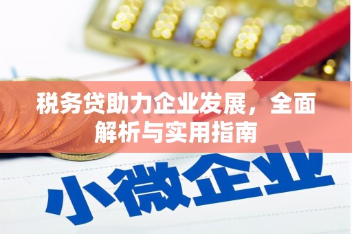 南京税务贷助力企业发展，全面解析与实用指南